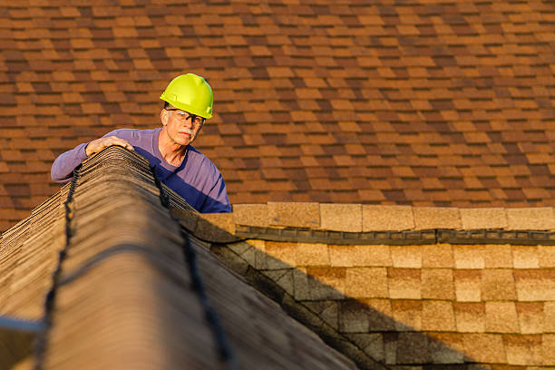 Best Roof Gutter Cleaning  in Anza, CA